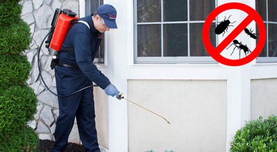 Bozkurt Akrep İlaçlama böcek ilaçlama ve haşere kontrolü — ilaclama-tr.com